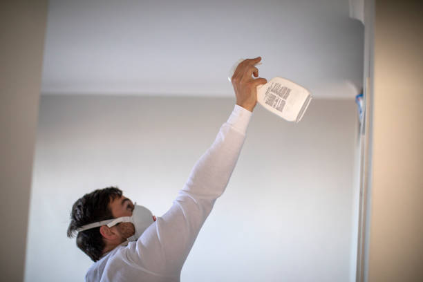 Best Attic Mold Removal  in Coldwater, MS