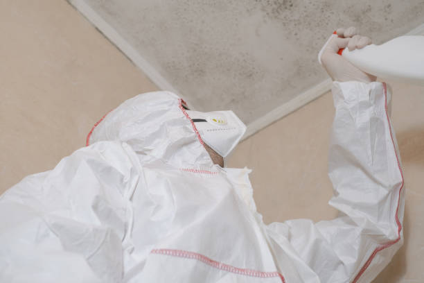 Best Mold Testing  in Coldwater, MS