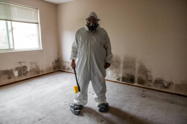 Best Mold Damage Repair  in Coldwater, MS