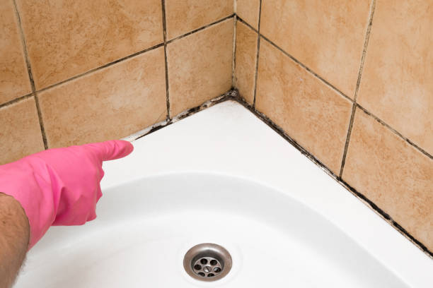Best Home Mold Removal  in Coldwater, MS